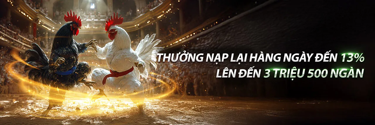 Đấu Gà Trực Tuyến Hấp Dẫn tại Xin88 Code